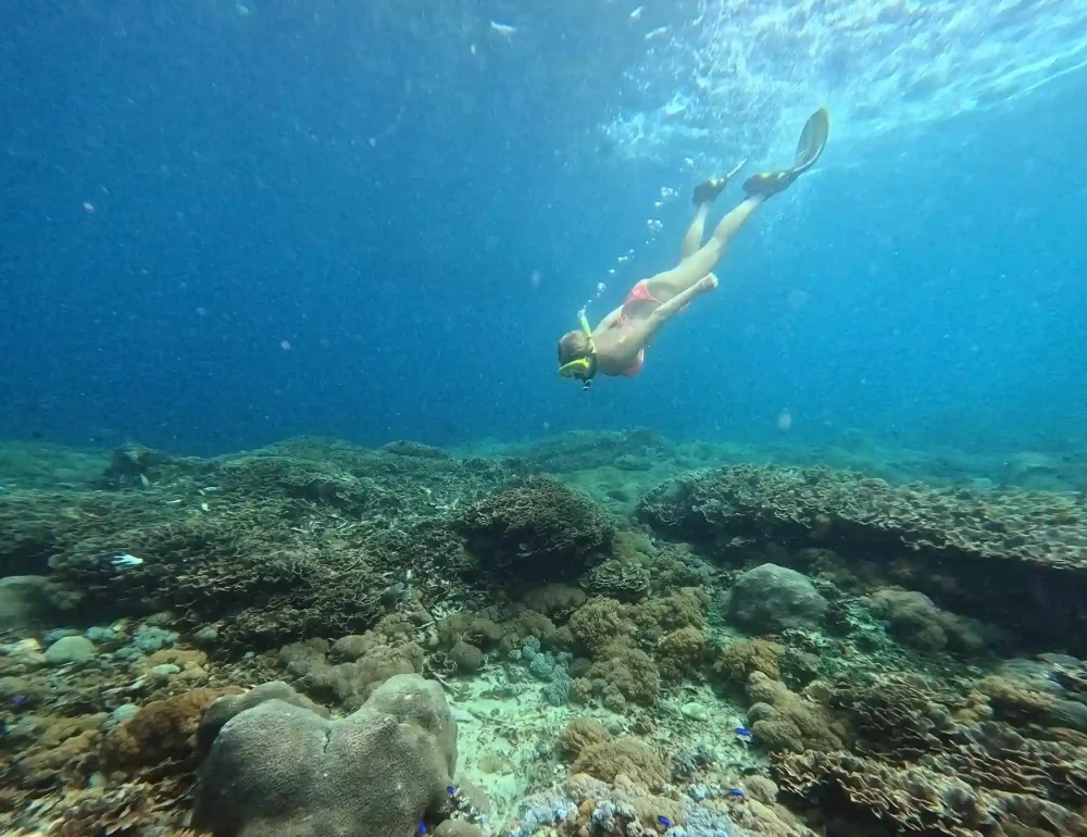 峇里島浮潛 Nusa Penida水晶灣